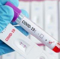 Над 15,3 млн. души по света са заразени с коронавируса
