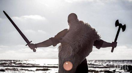 шокиращо откритие едрата шарка тръгнала древните викинги