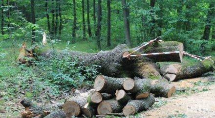 500 проверки горски североизточна българия