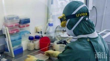 пробив учени създали ефективен коктейл антитела коронавируса