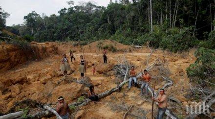 земята загубила 178 милиона хектара гори години