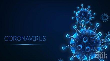 проучване голяма вероятността заразим covid