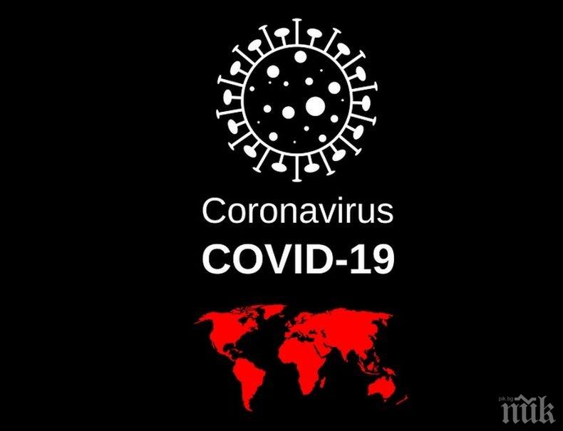 Над 202 000 новозаразени с коронавируса по света за последното денонощие