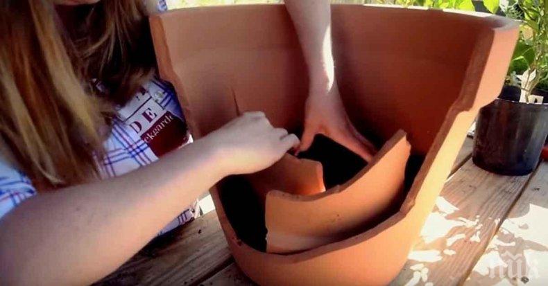 Агресивна жена тормози цял блок в София, цели съседи със саксии