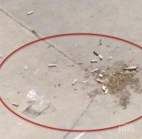 Бургаски квартал пропищя - превърнали го в накроманско сборище