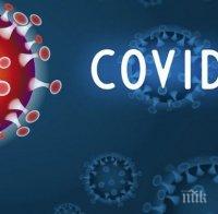 Близо 16 милиона са заразените с новия коронавирус по света