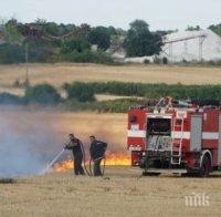 ИЗВЪНРЕДНО В ПИК: Военни гасят големите пожари в Дълбоки (СНИМКИ)
