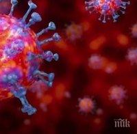 ЧЕРЕН РЕКОРД: Заразените с коронавирус скочиха над 16 млн. души