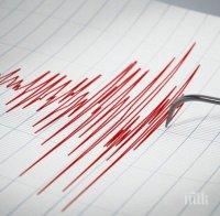 земетресение магнитуд скалата рихтер било регистрирано бреговете аляска