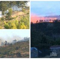 Два пожара са възникнали в горски местности край селата Светлина и Дълбоки