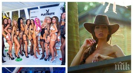 горещо пик кандидат кметицата момин проход плеймейтка диана габровска конкурира транссексуален титлата николета снимки