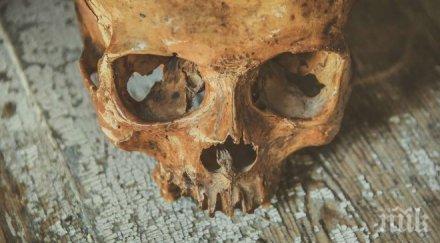 шокираща находка намериха човешки кости село поликраище