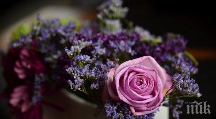 звездите говорят понеделник зачестяват конфликтите избягвайте тежка храна взимайте прибързани решения