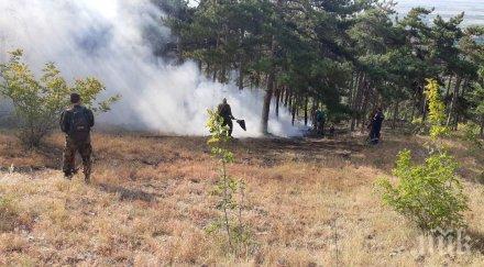 пожарът село дълбоки нанесъл щети декара гора