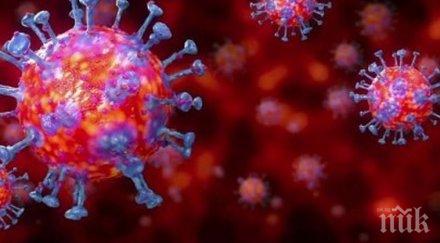 черен рекорд заразените коронавирус скочиха млн души