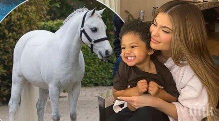 глезотии кайли дженър пръсна 156 000 паунда пони нидерландия