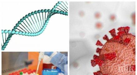 пробив американски учени откриха ензим подпомагащ навлизането коронавируса човешките клетки