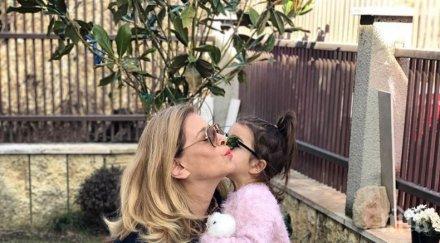 катето евро развъжда лилии сточна гара снимки