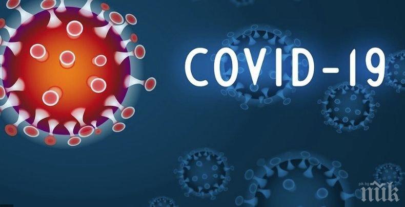 Близо 16 милиона са заразените с новия коронавирус по света