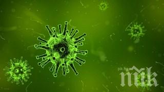 320 милиарда долара е коствала коронавирусната криза на туристическия сектор