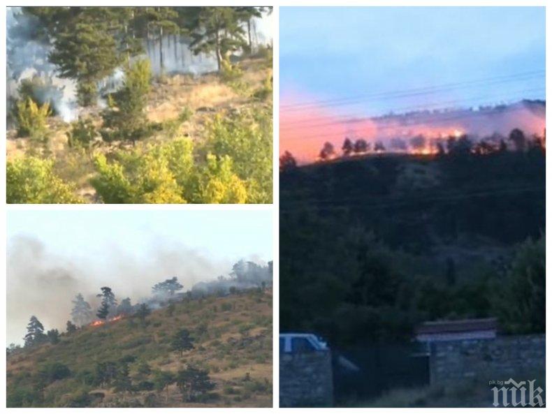 Два пожара са възникнали в горски местности край селата Светлина и Дълбоки