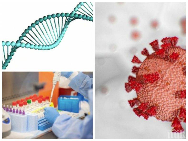 ПРОБИВ: Американски учени откриха ензим, подпомагащ навлизането на коронавируса в човешките клетки