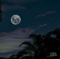 Днес и утре ще е най-дългото пълнолуние за годината