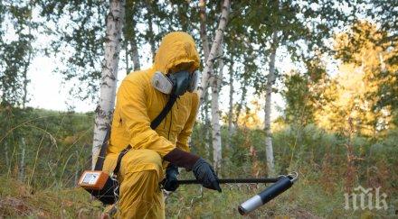 невероятно гъби чернобил абсорбират радиацията превръщат енергия