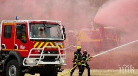 пожар свинеферма франция унищожи близо 700 прасета