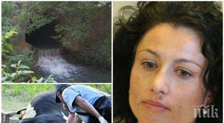 десислава танева горещ коментар протестите затапените пътища софия