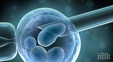 стволовите клетки стават все важни