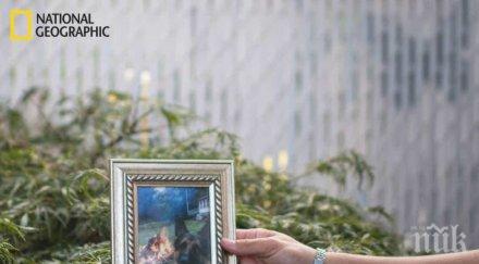 почина първото куче заразано коронавирус