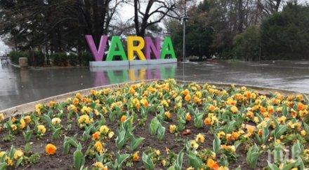 шест медицински пункта разположени варна заради жегата