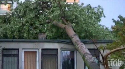 бури полша чехия