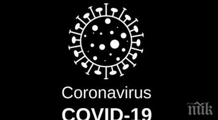 215 000 новозаразени коронавируса света денонощие