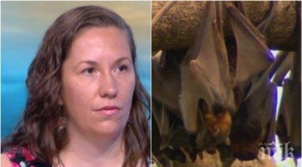 сензация учен бан разгада една мистериите коронавируса