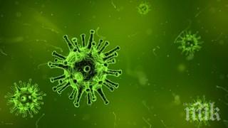 covid взе две жертви пазарджишко