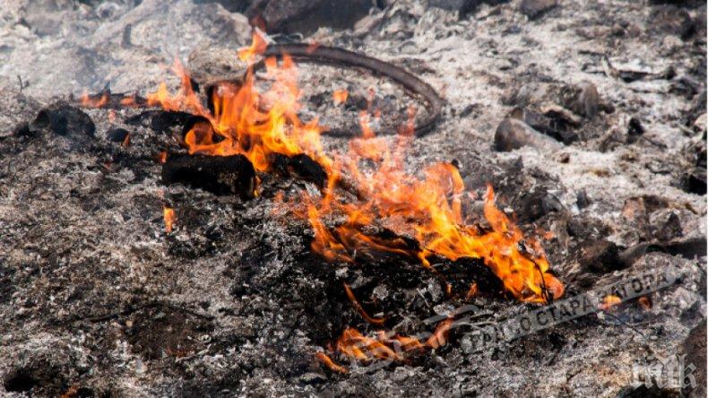 Директорът на училището в Перущица след инцидента с изгорения петокласник: Допуснато е грубо нарушение на правилата