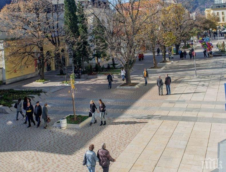 Поставиха хранилки и къщички за птици в централната градска част на Сливен