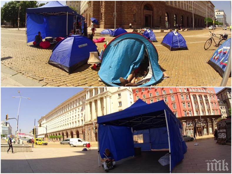 ГОРЕЩО В ПИК: Блокададжиите пръснали над 26 бона за палатки и шатри! Откъде пари? (СНИМКИ)