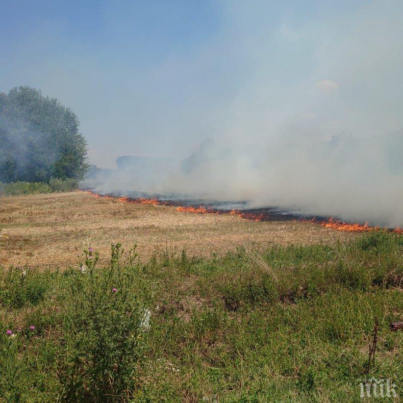 Еколози сигнализираха за пожар в близост до дюните край Оряхово (СНИМКИ)