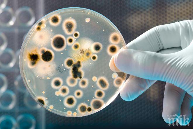 Микроби могат да помогнат за почистването на микропластмаси от околната среда