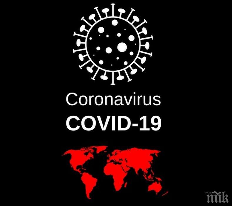 Над 215 000 новозаразени с коронавируса по света за денонощие