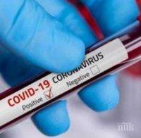 Почти 1,5 млн. души в Италия имат антитела срещу коронавируса