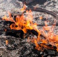 Мощен пожар бушува в Калифорния