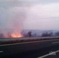 Сухи треви горят край магистрала 