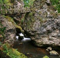 Кметски наместници и общинари чистят екопътеката в Трън

