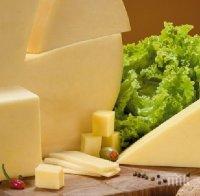 Фермер алармира за спекула: Кило кашкавал от овче мляко до магазина поскъпва тройно