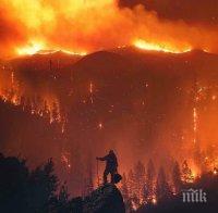 Евакуират над 7 000 души заради пожари в Калифорния