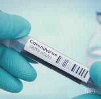 ЧЕРЕН РЕКОРД: Над 18 милиона случая на коронавирус в света